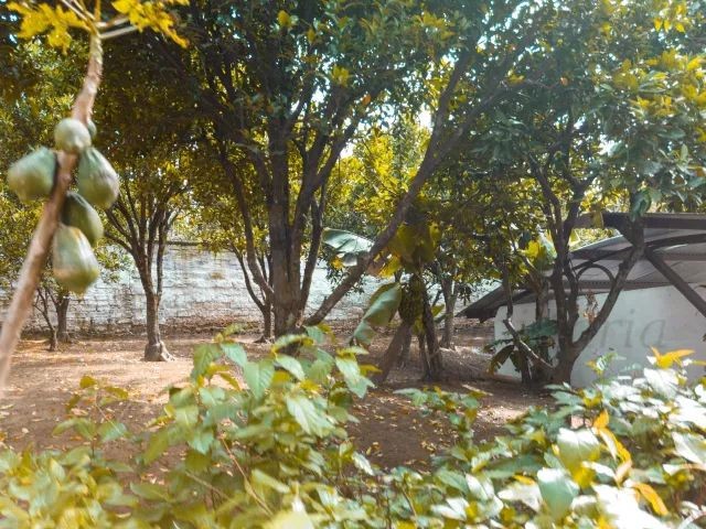 Casa 3 quartos para Venda no bairro Petrópolis em Novo Hamburgo