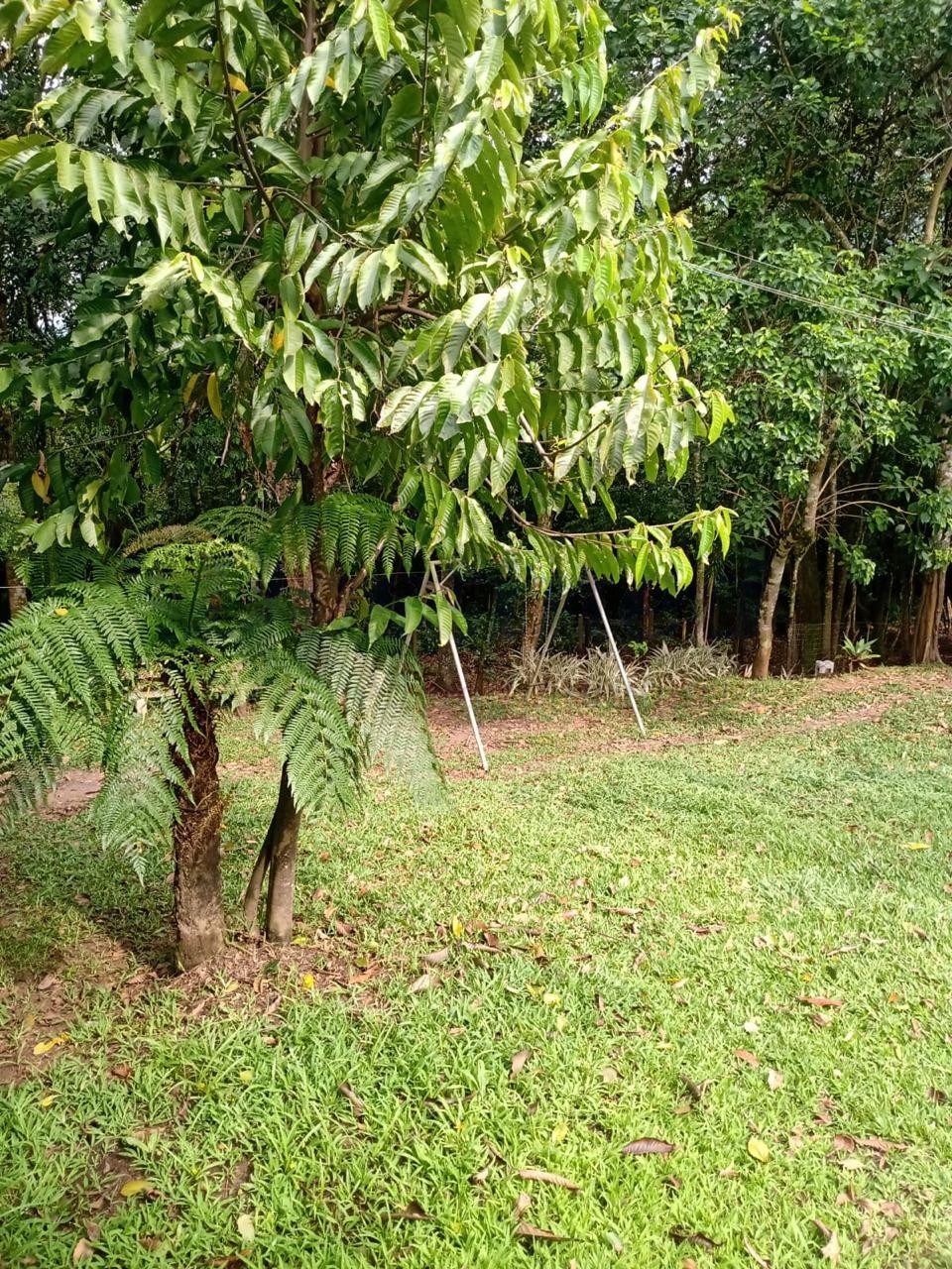 Sítio / Chácara 2 quartos para Venda no bairro Centenário em Sapiranga