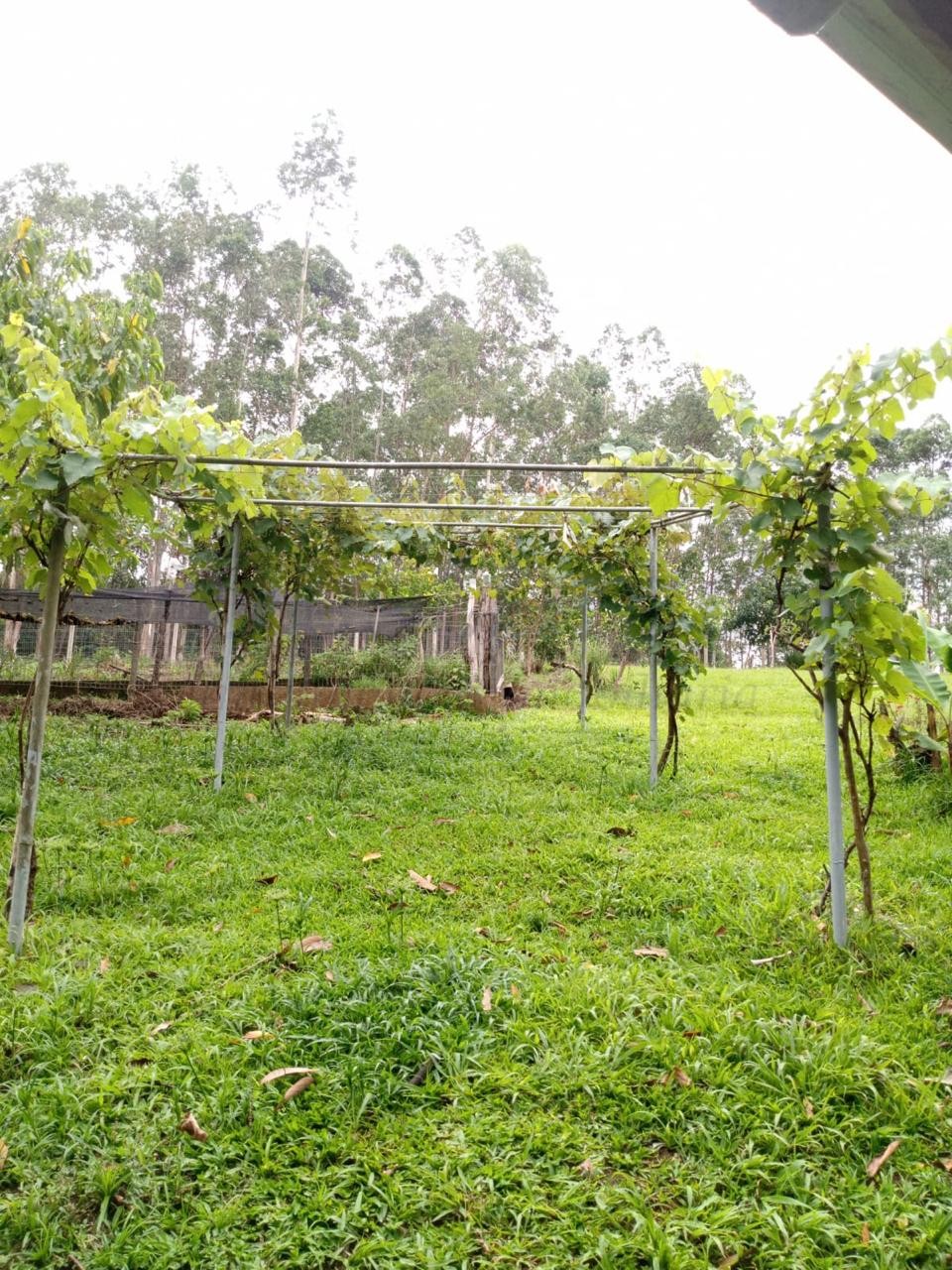 Sítio / Chácara 2 quartos para Venda no bairro Centenário em Sapiranga